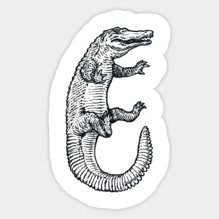 A Levity of Animals: See Ya Later, Alligator! Sticker